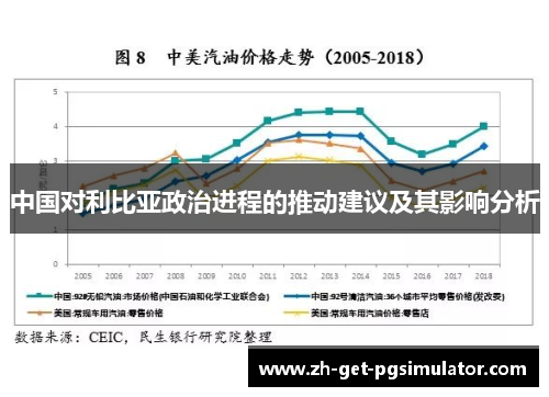 中国对利比亚政治进程的推动建议及其影响分析