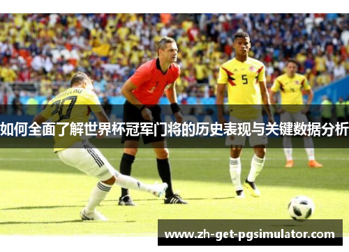 如何全面了解世界杯冠军门将的历史表现与关键数据分析