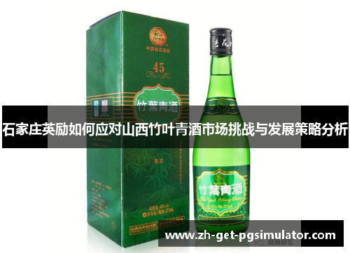石家庄英励如何应对山西竹叶青酒市场挑战与发展策略分析