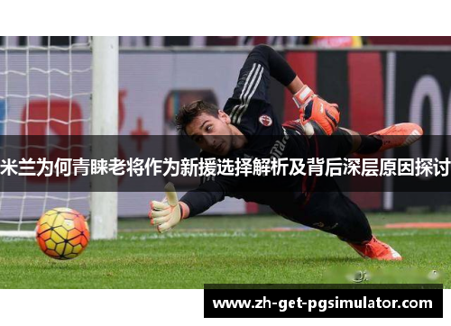米兰为何青睐老将作为新援选择解析及背后深层原因探讨