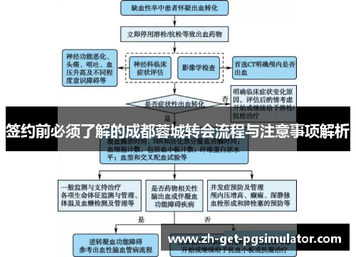 签约前必须了解的成都蓉城转会流程与注意事项解析
