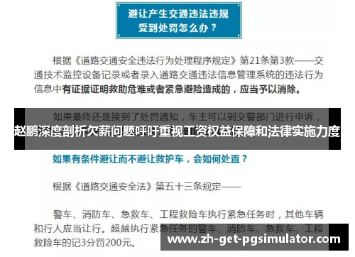 赵鹏深度剖析欠薪问题呼吁重视工资权益保障和法律实施力度