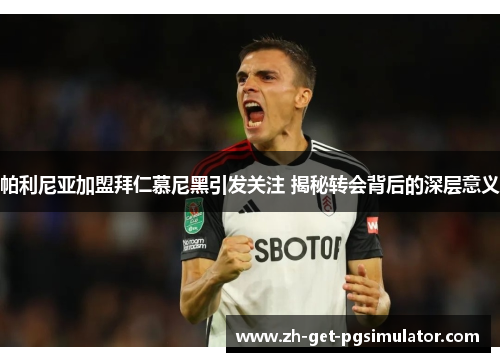 帕利尼亚加盟拜仁慕尼黑引发关注 揭秘转会背后的深层意义 帕利尼亚加盟拜仁慕尼黑引发关注 揭秘转会背后的深层意义