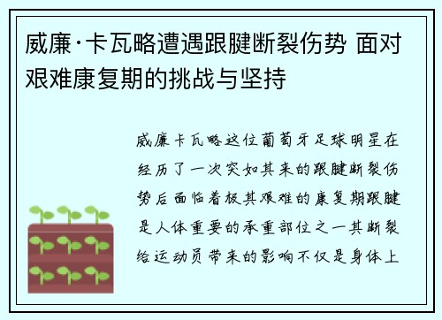 威廉·卡瓦略遭遇跟腱断裂伤势 面对艰难康复期的挑战与坚持